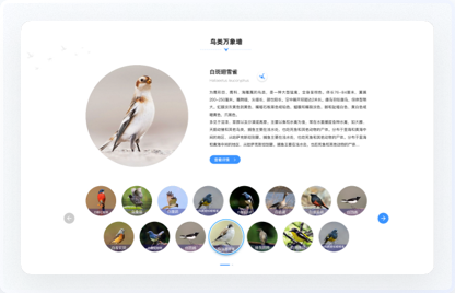 高端網(wǎng)站設(shè)計(jì)